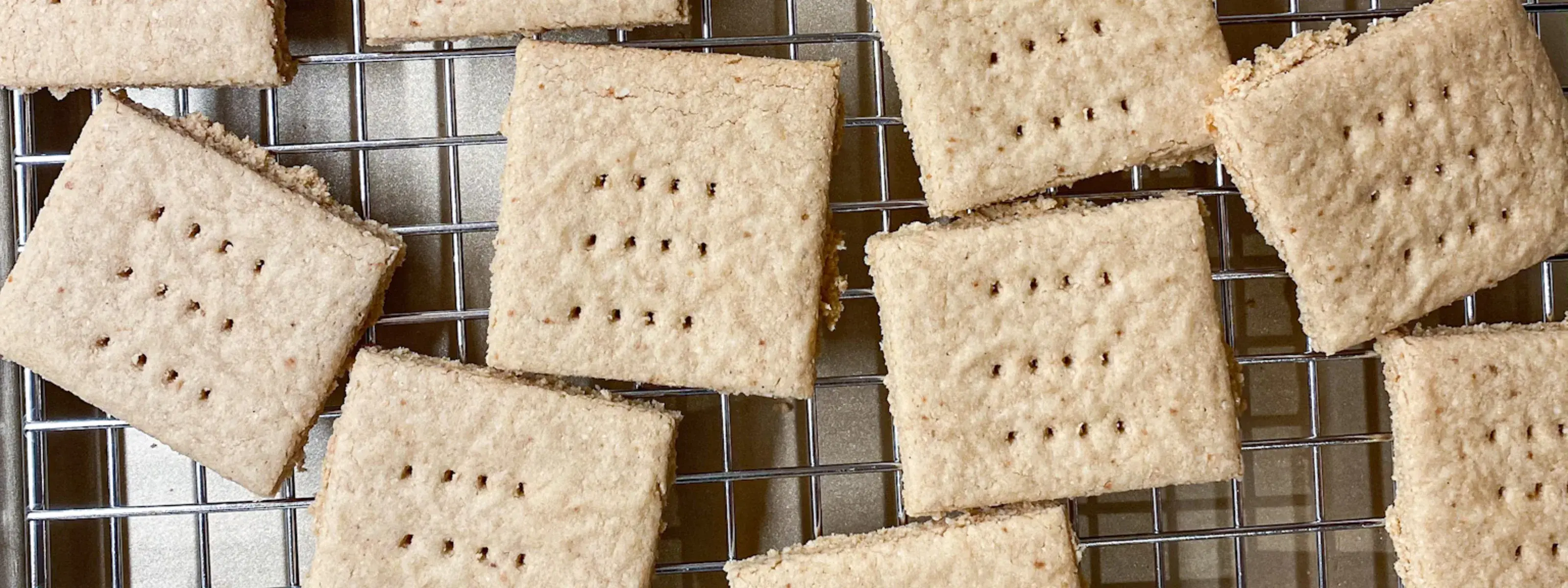 Paleo Graham Crackers